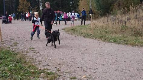 Justus ja Koda hopeaa